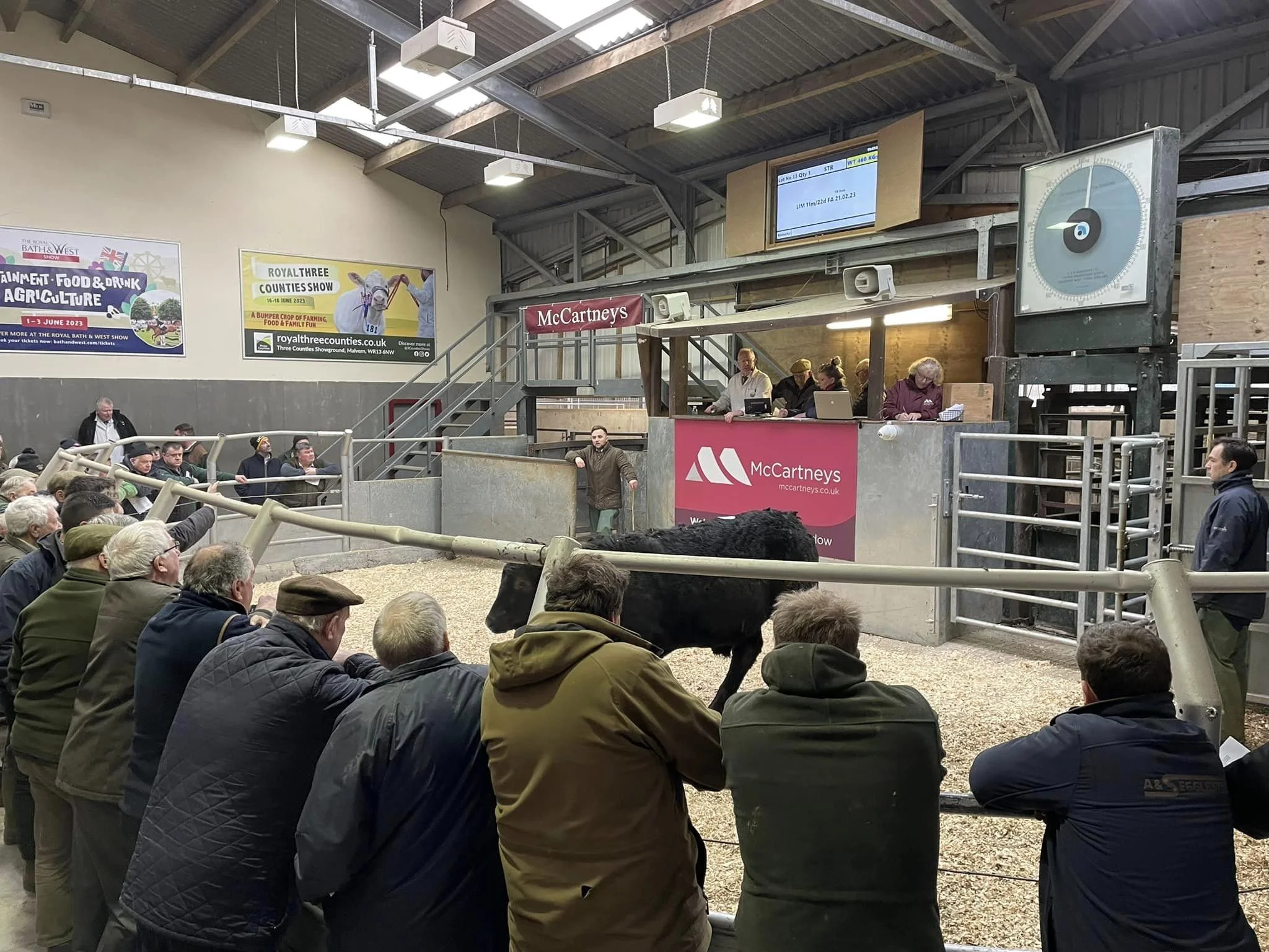Worcester Livestock Market Advertising (Operated by McCartneys)
