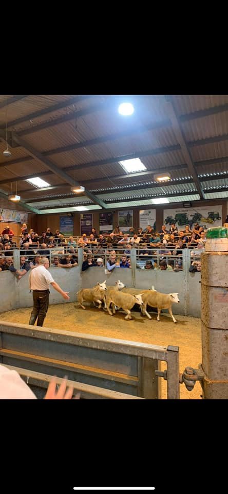 Rugby Livestock Market Advertising