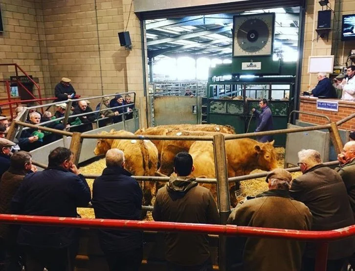 Ross-on-Wye Livestock Market Advertising (Operated by RG &amp; RB Williams Ltd)