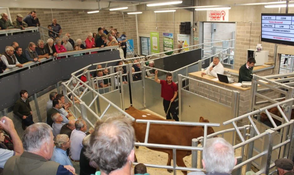 Melton Mowbray Livestock Market Advertising (Operated at Scalford Road, Melton Mowbray)