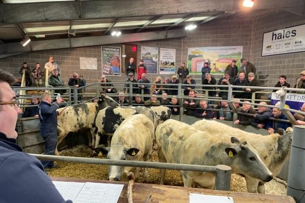 Market Drayton Livestock Market Advertising