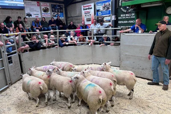 Holmfirth Livestock Market Advertising