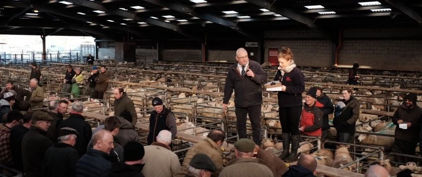 Bridgnorth Livestock Market Advertising (Operated by Nock Deighton Agricultural LLP)