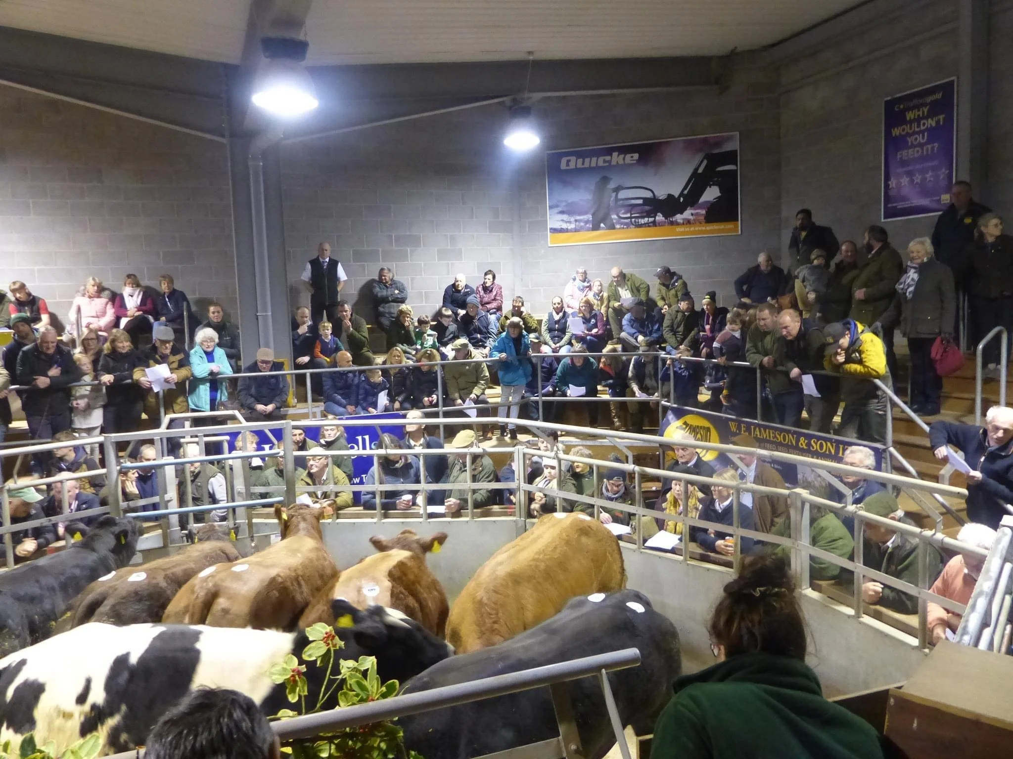 Thirsk Livestock Market Advertising