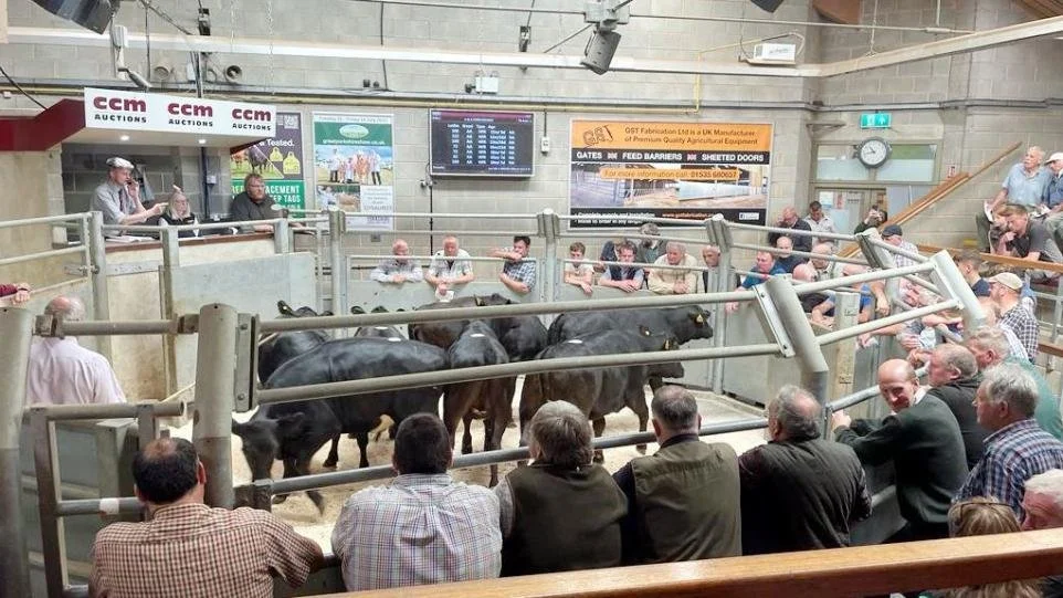 Skipton Livestock Auction Mart Advertising