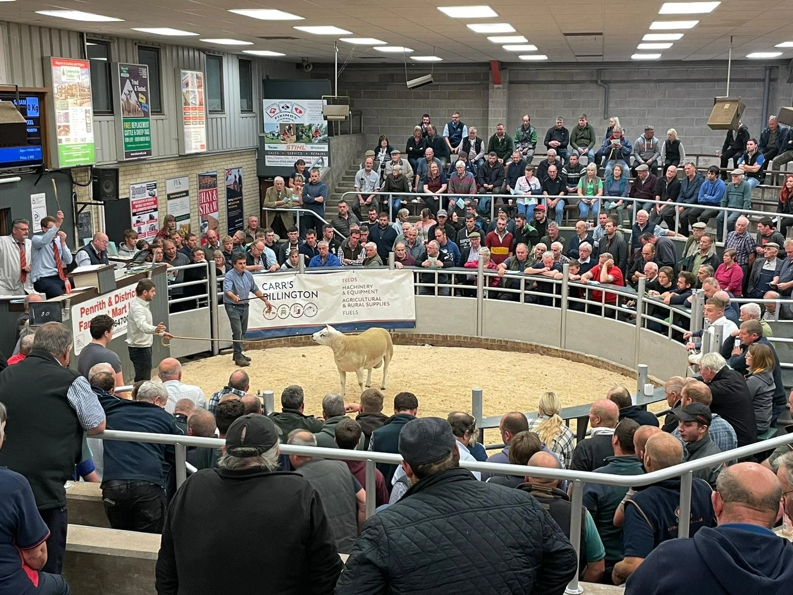 Penrith Livestock Market Advertising