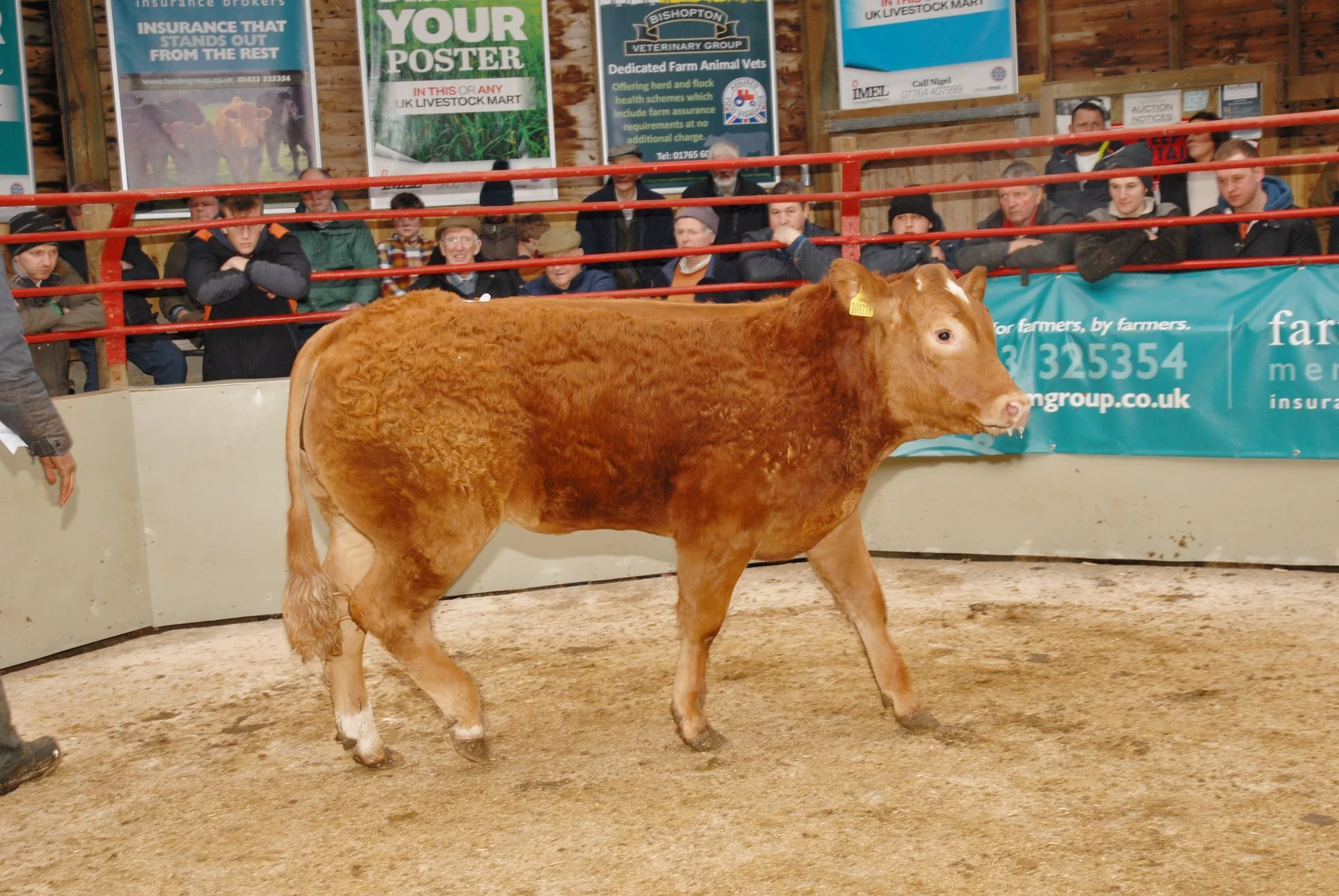 Pateley Bridge Livestock Market Advertising