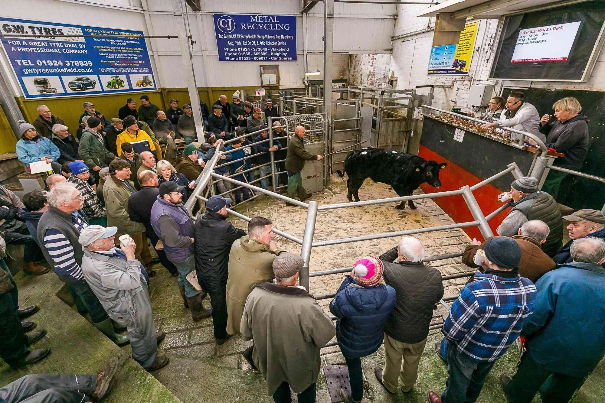 Otley Livestock Market Advertising