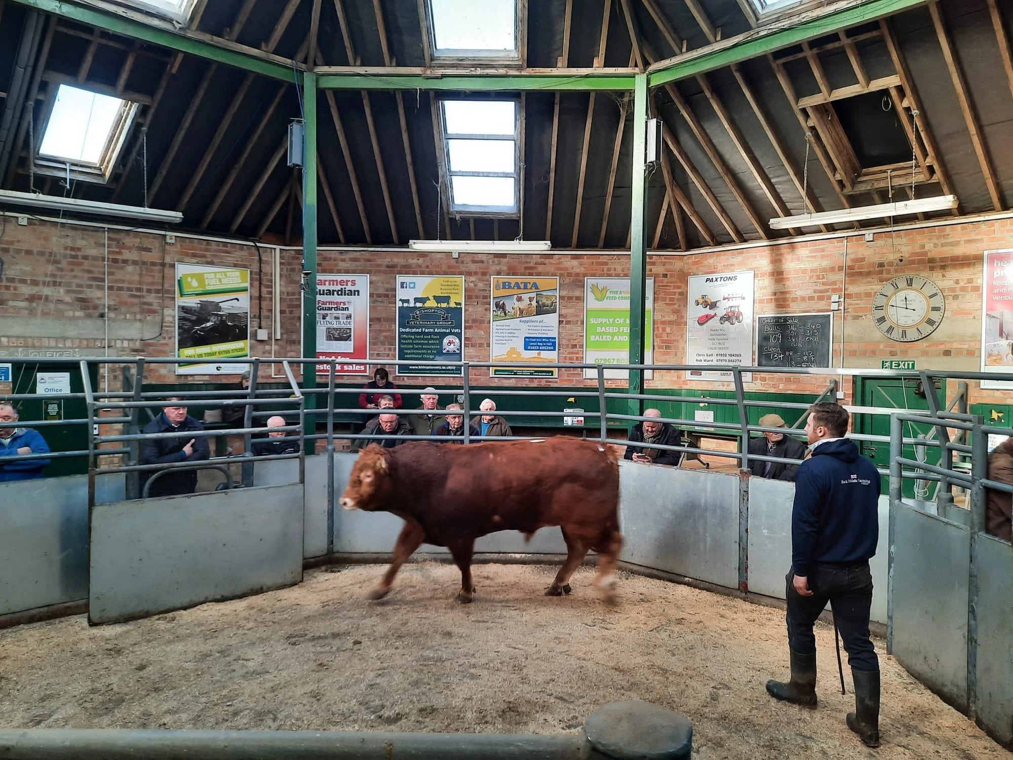Northallerton Livestock Market Advertising