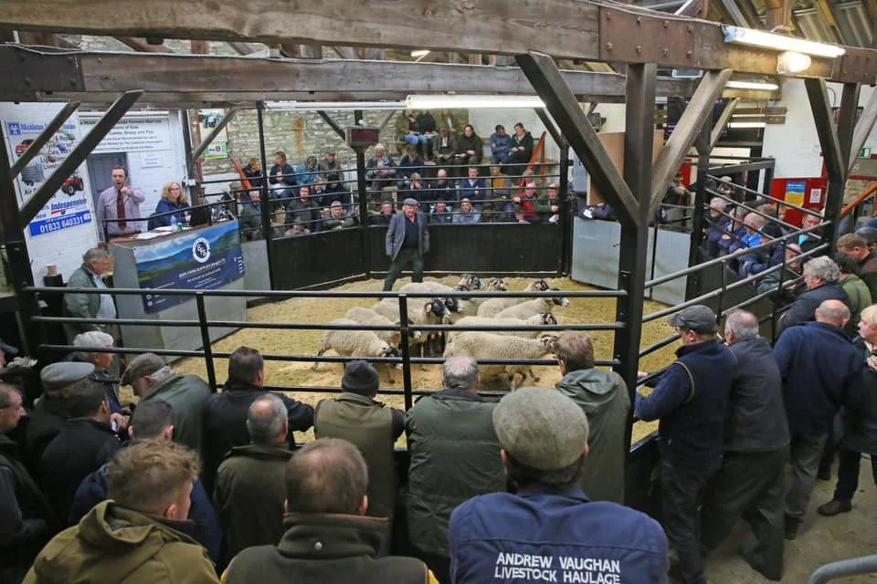 Middleton in Teesdale Livestock Market Advertising