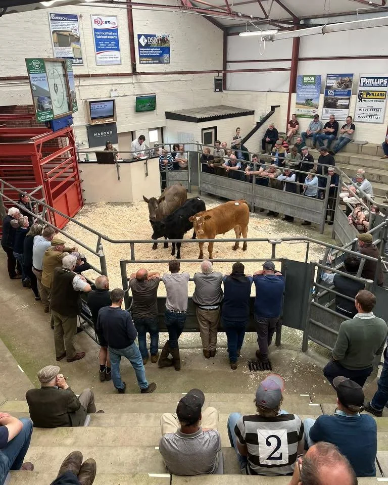 Louth Livestock Market Advertising