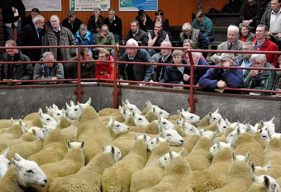 Longtown Livestock Market Advertising