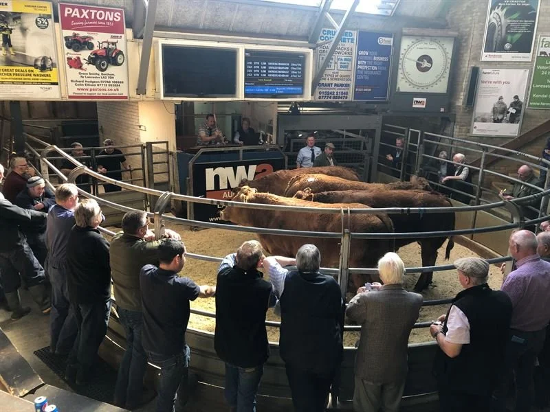 Lancaster Livestock Market Advertising