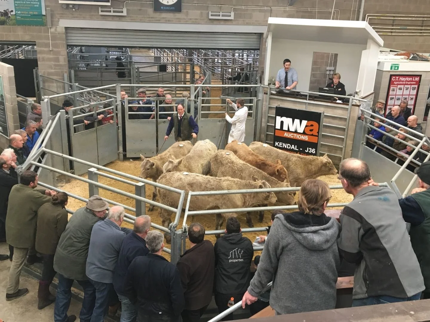 Kendal J36 Rural Auction Centre Advertising