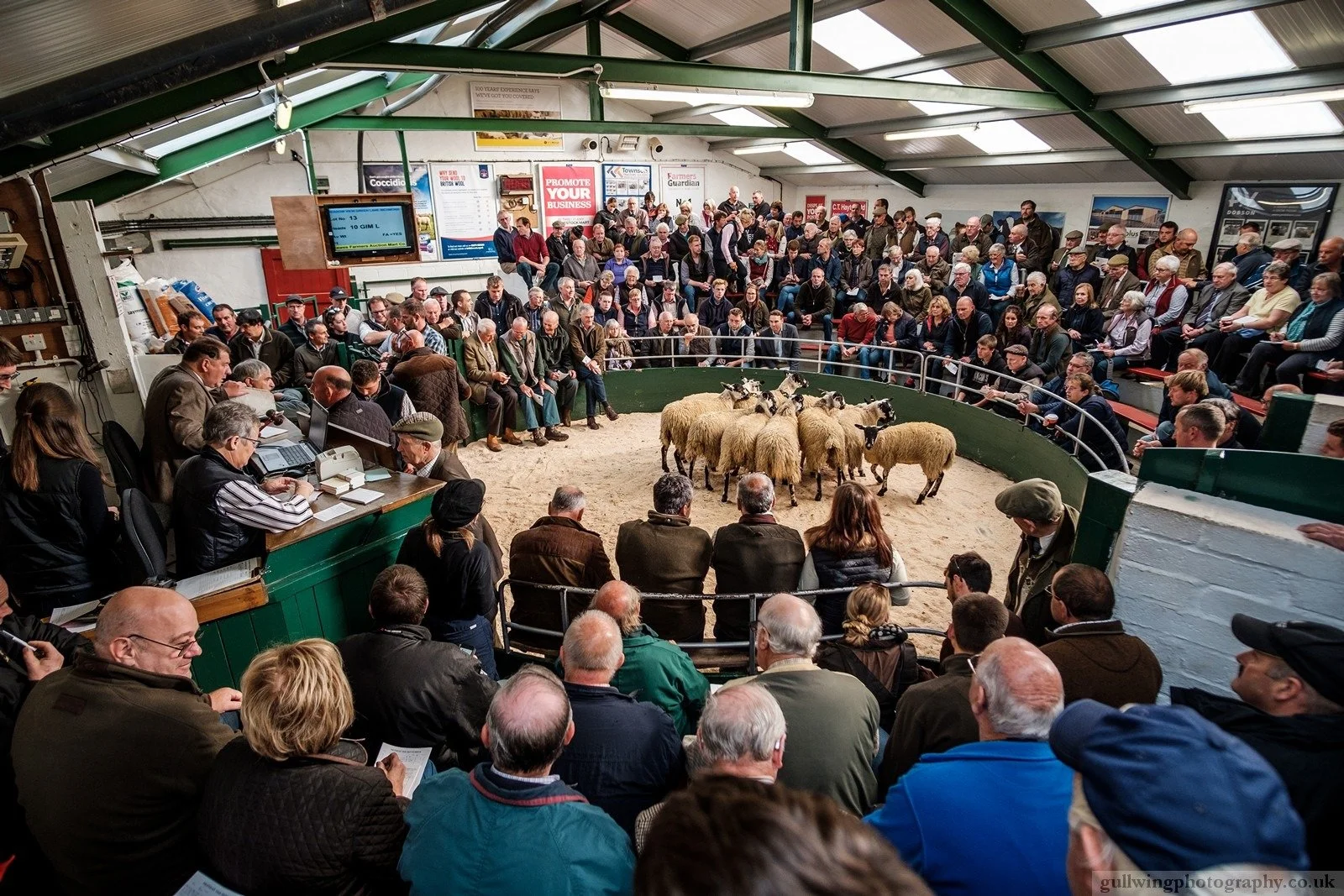 Hawes Livestock Market Advertising