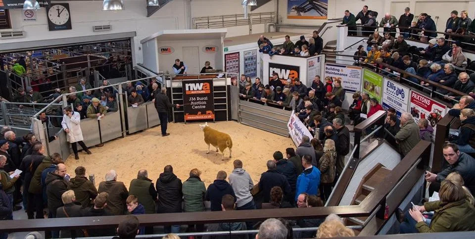 Darlington Farmers Auction Mart Advertising