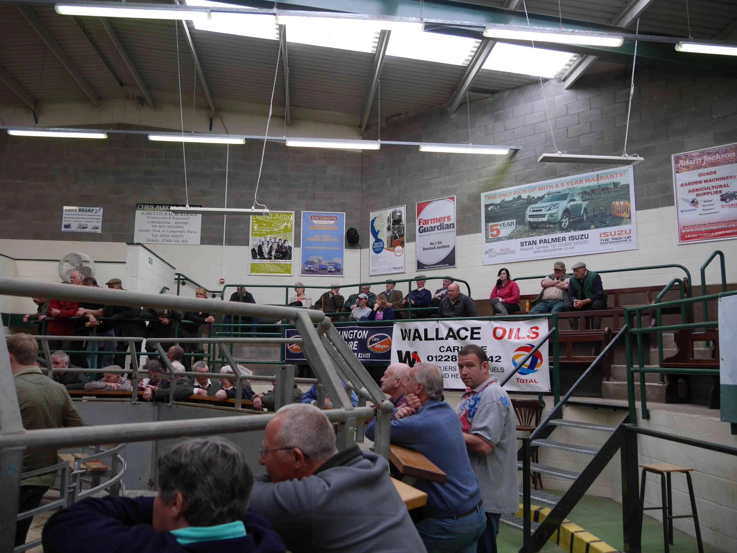 Cockermouth Lakeland Livestock Centre Advertising