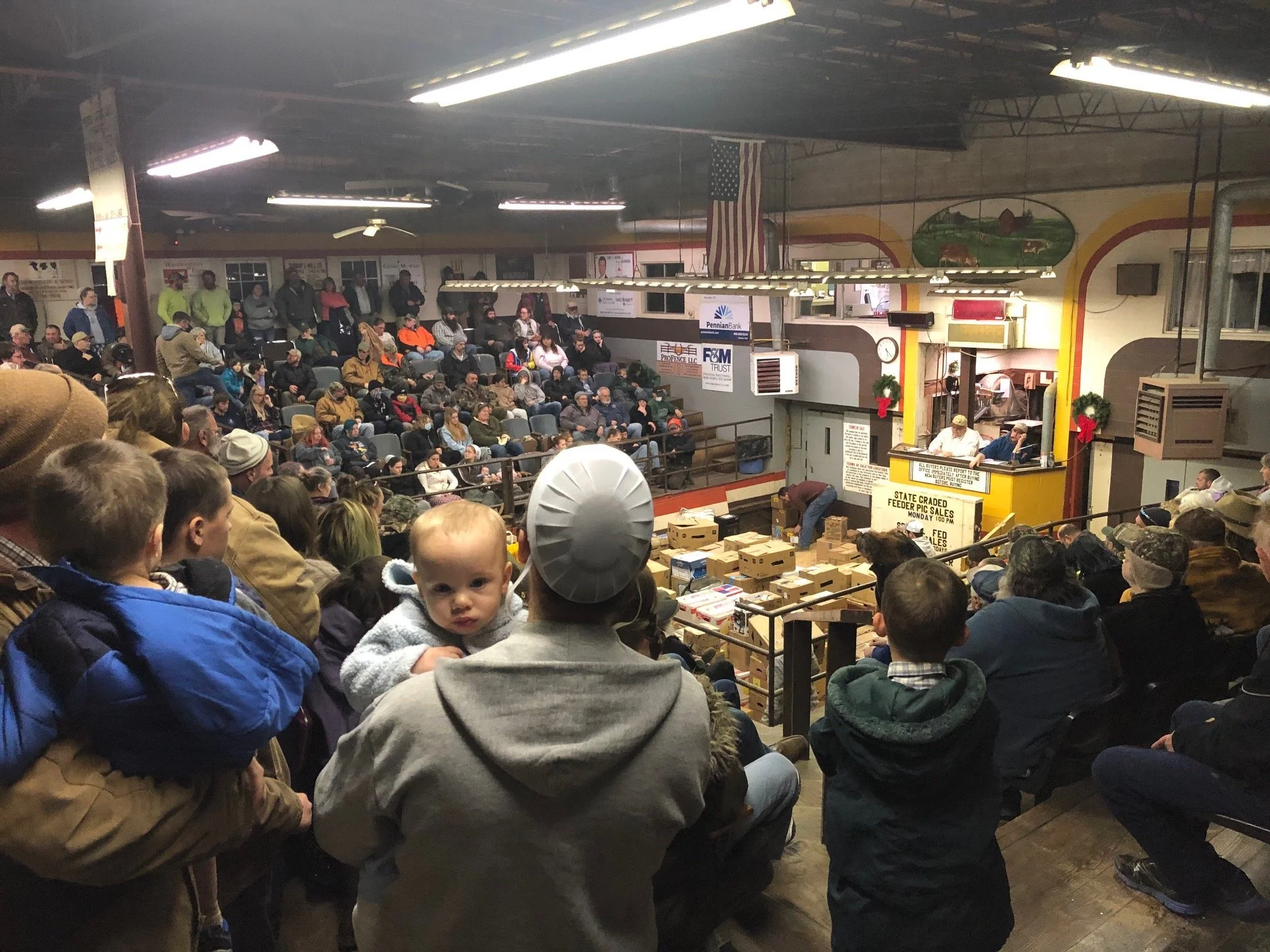 Carlisle Livestock Market Advertising, Borderway Mart