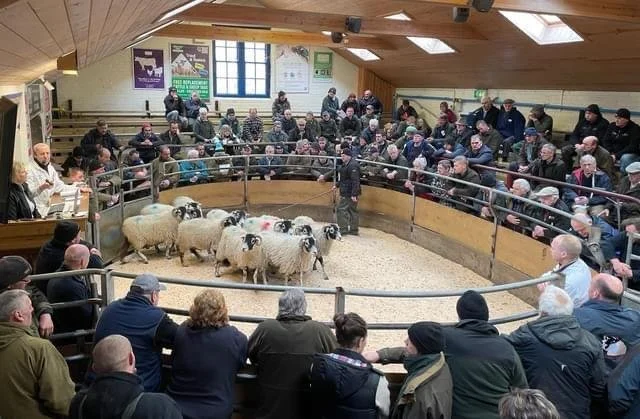 Bentham &amp; District Farmers Auction Mart (BAM)