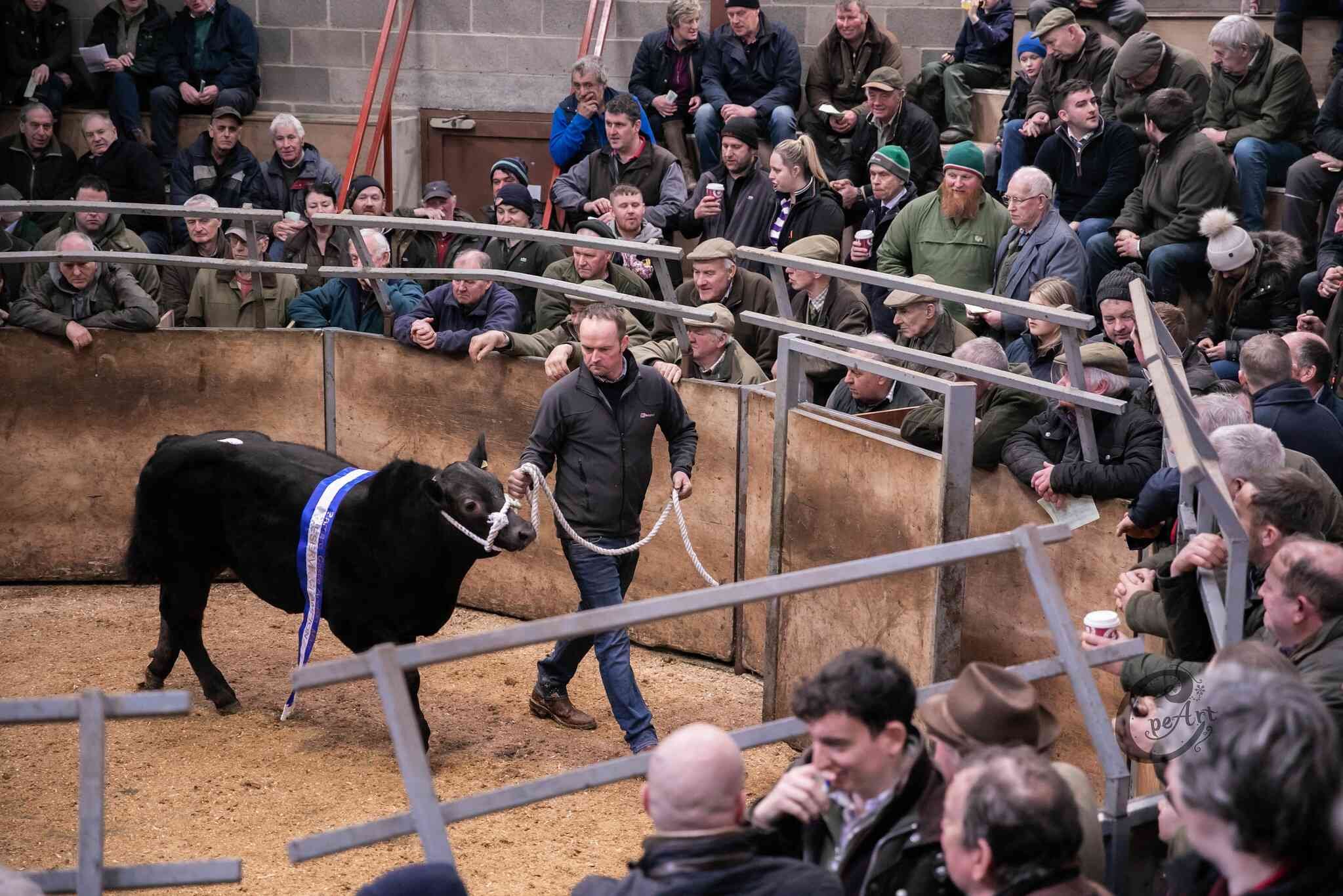 Barnard Castle Auction Mart Advertising