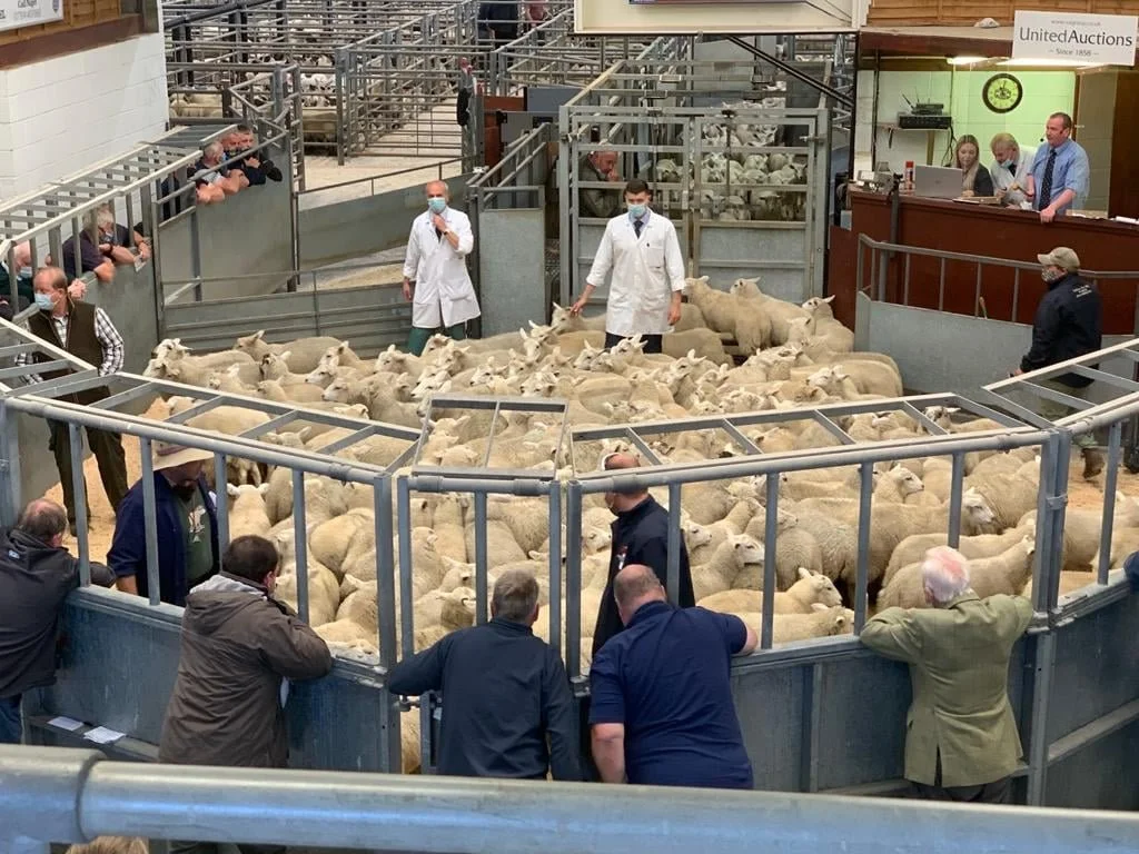 Oban United Auctions Livestock Centre Advertising