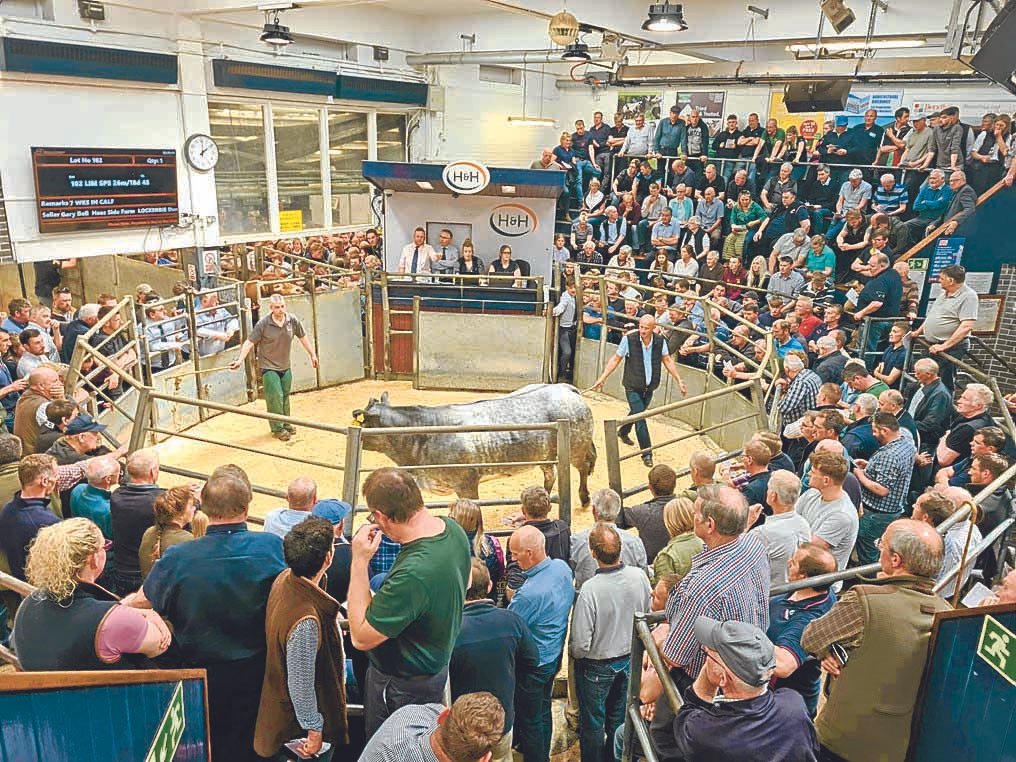 Lockerbie Livestock Market Advertising