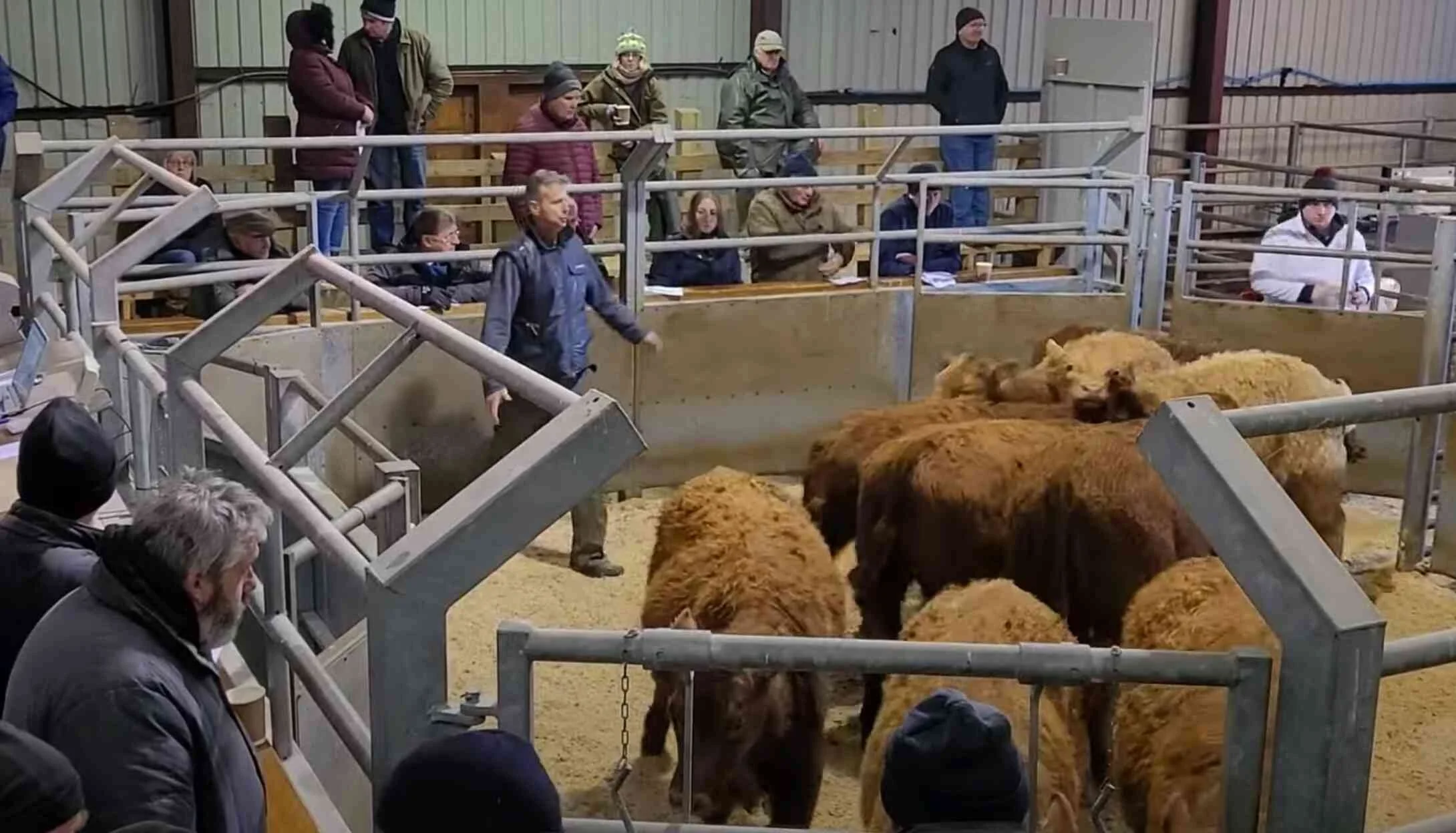 Islay Auction Mart Advertising