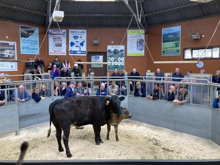 Dumfries Auction Mart Advertising