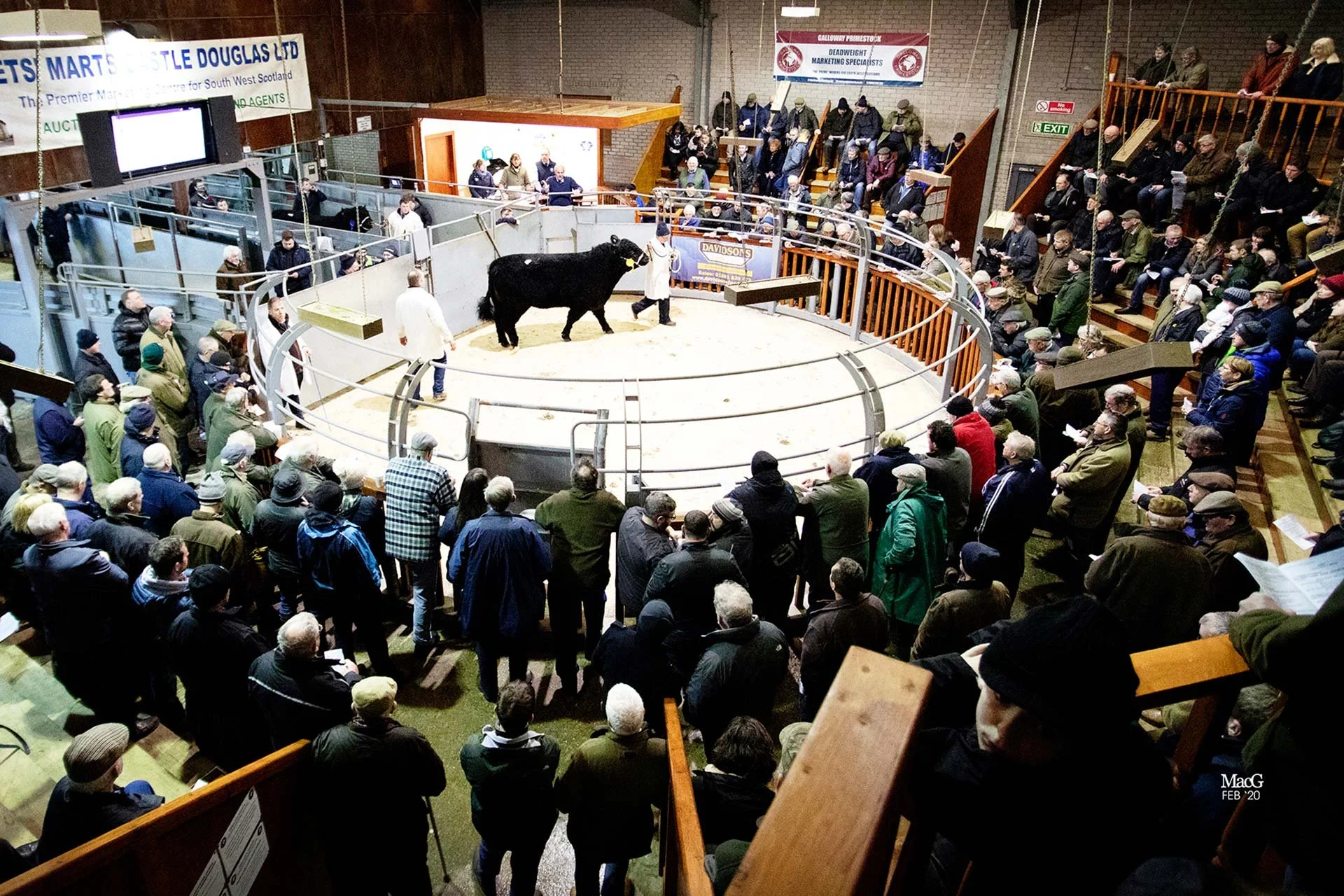 Wallet Mart Castle Douglas Livestock Advertising