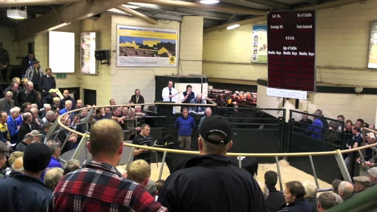 Ayr Livestock Market Advertising