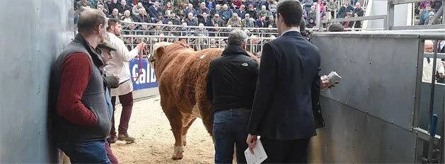 South Uist Lochboisdale Auction Mart Advertising