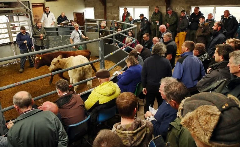 Skye Livestock Market Advertising