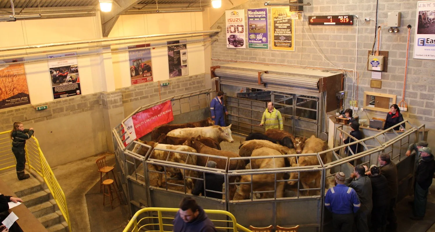 Shetland Livestock Market Advertising