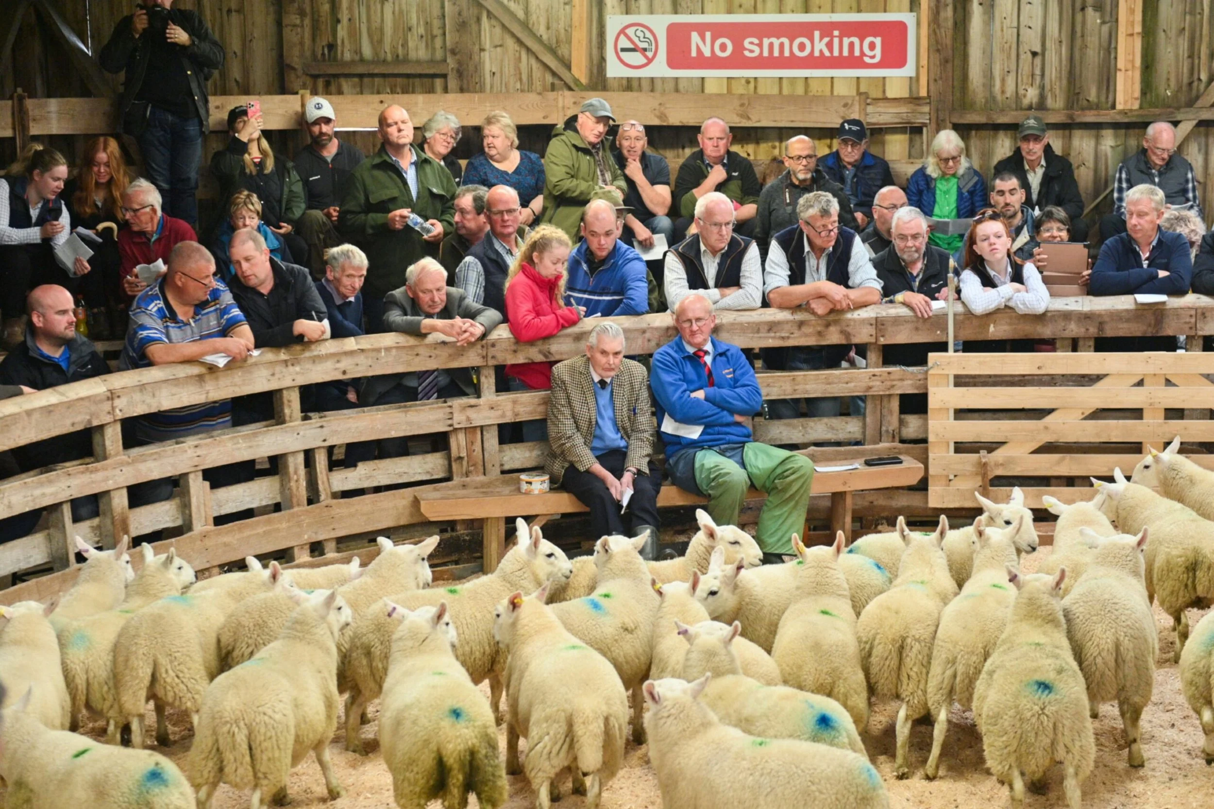 Lairg Auction Market Advertising