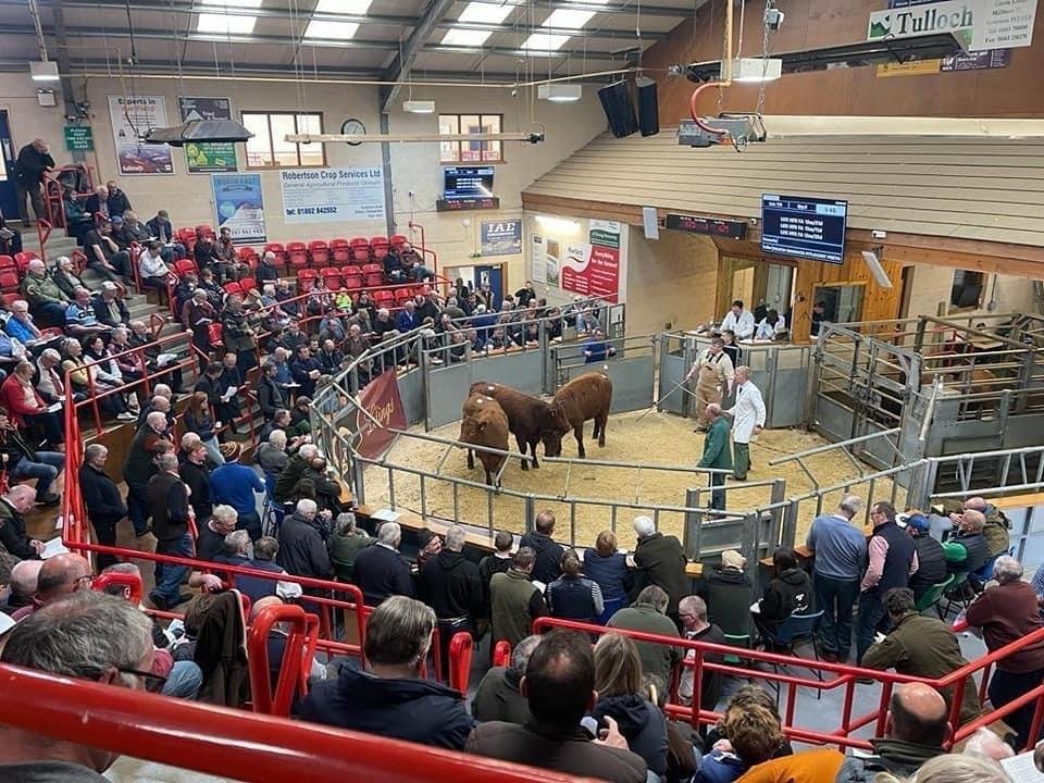 Dingwall Auction Mart Advertising