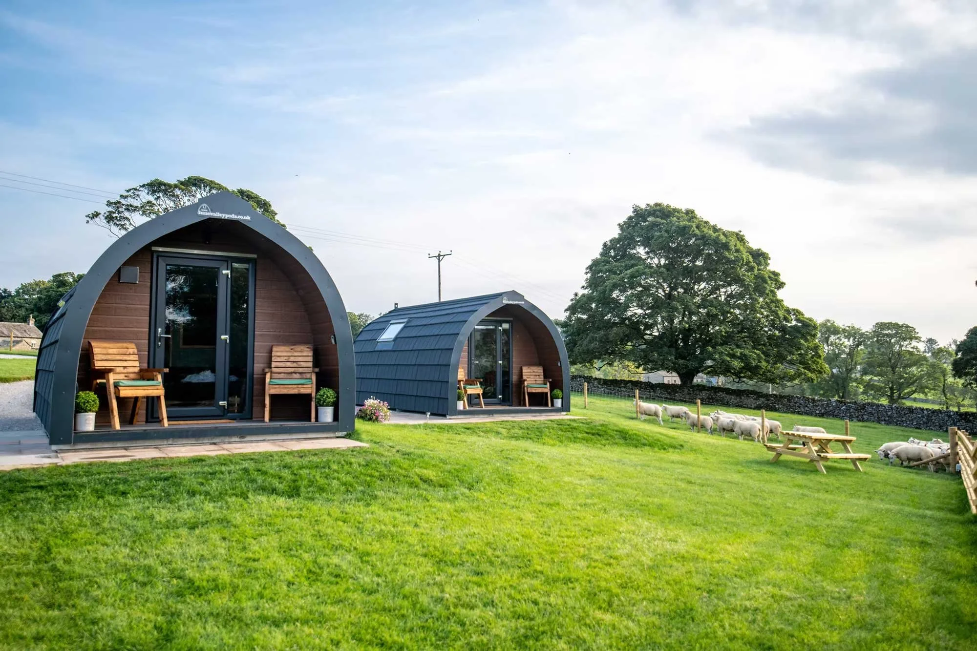 From Pod to Poster – Celebrating Coxons Farm Glamping Pods