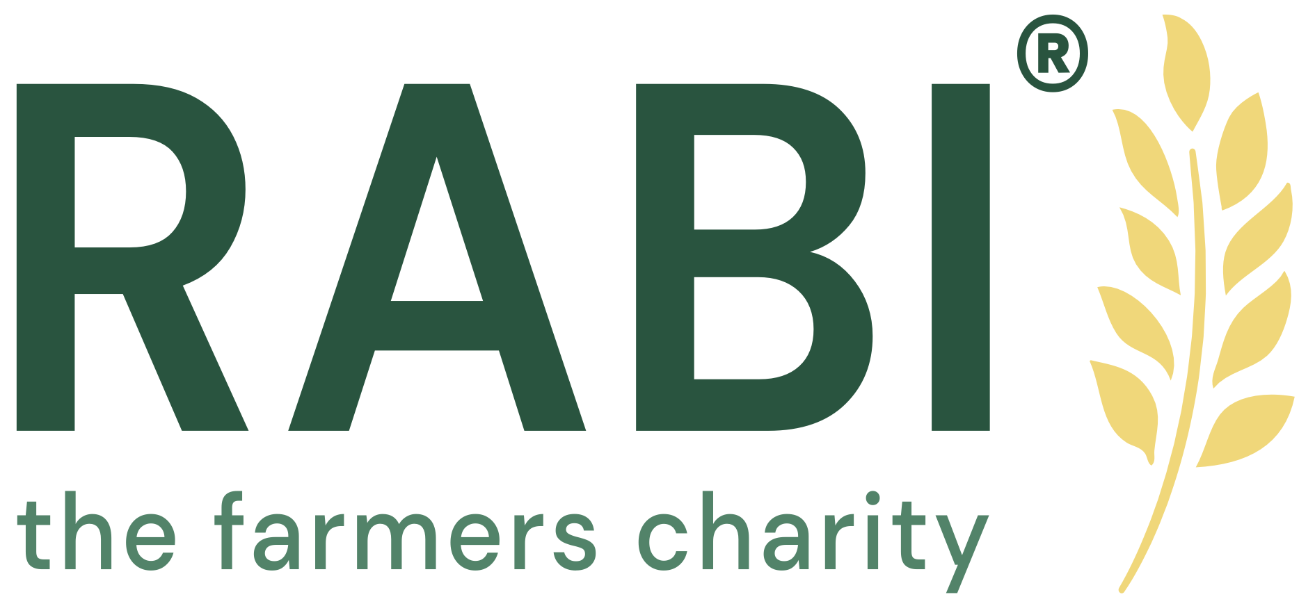 Rabbi the farmers charity logo with the words 'RABI' in large green letters, a wheat stalk on the right, and the tagline 'the farmers charity' underneath.