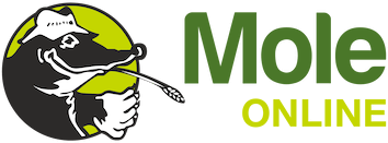 Logo of Mole Online featuring a cartoon mole wearing glasses and holding a fishing rod, with the company name in green and yellow text.