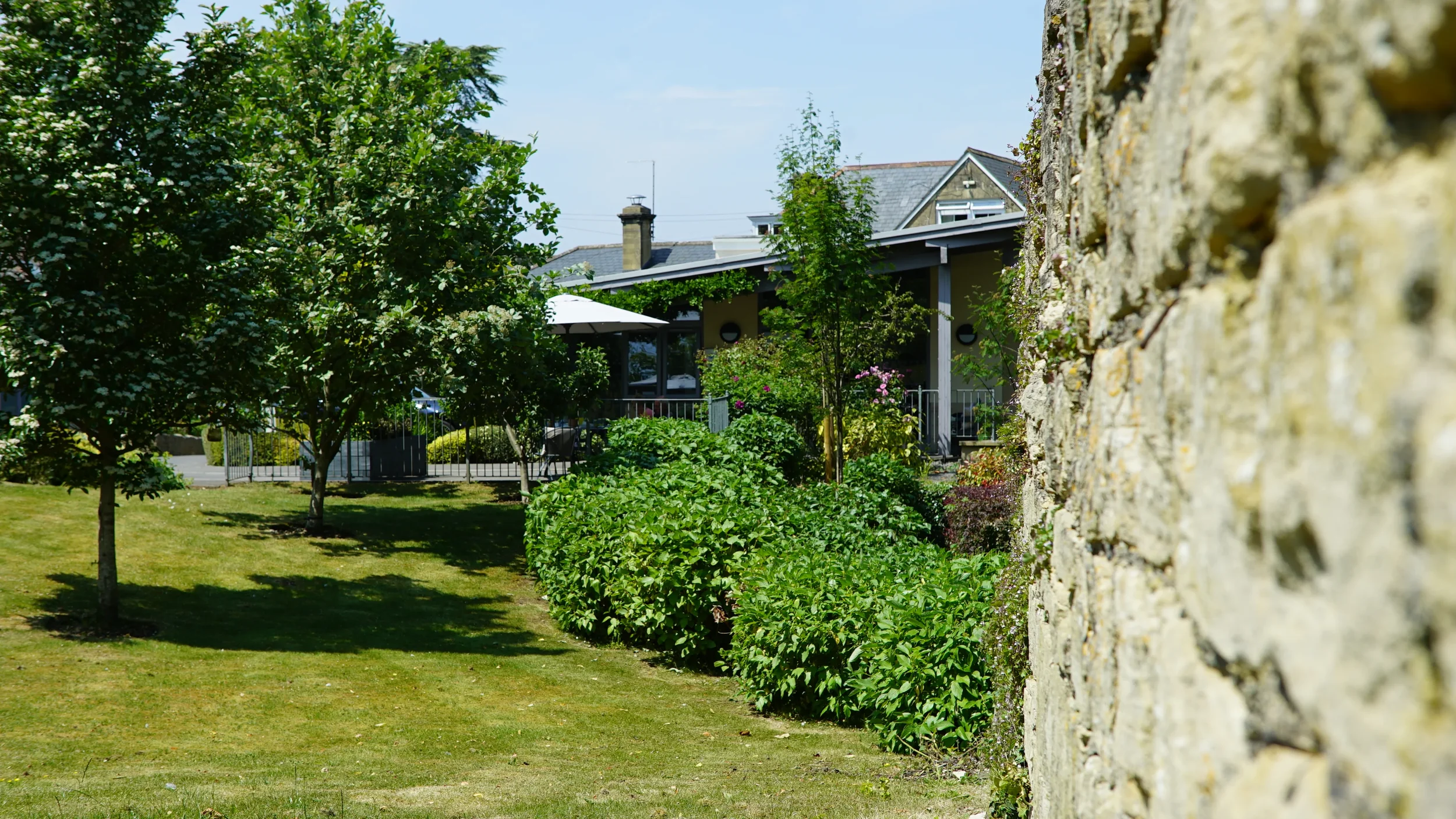 rear-lawn-at-springfield-house-care-home-bath.webp