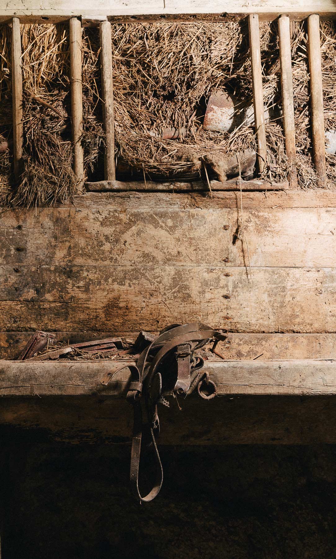 Close-up of an old wooden barn wall with hay stored behind vertical wooden slats, and a rusty horse halter hanging on a horizontal wooden beam in the foreground.