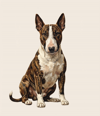 A sitting brindle and white dog with large ears on a plain background.