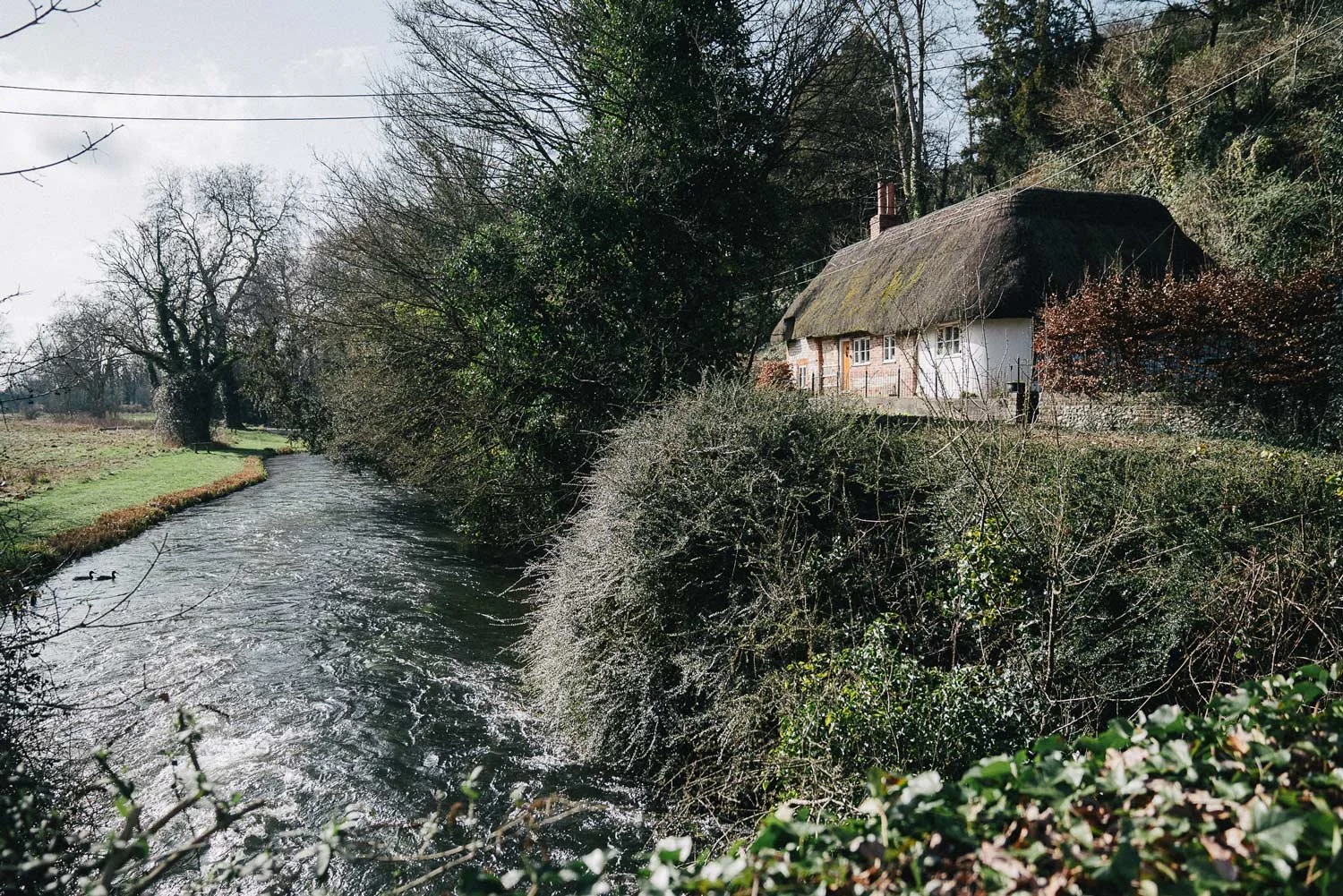 A rural scene with a small stream flowing beside a thatched-roof cottage surrounded by trees and shrubs.