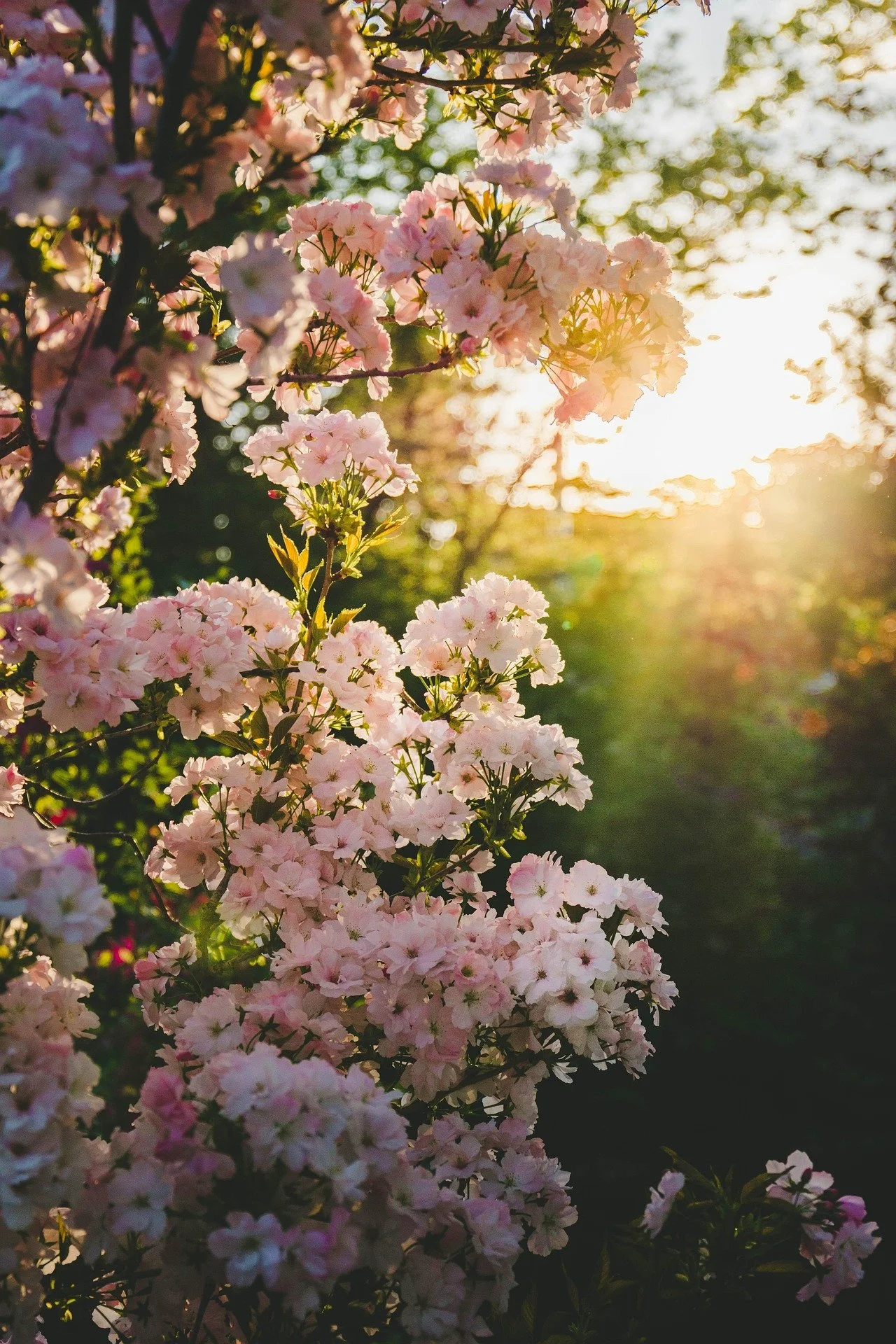 Soften & Reconnect: A Discovery Gathering for Moms