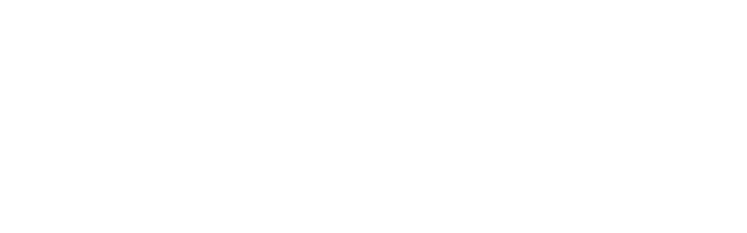 NYminis™