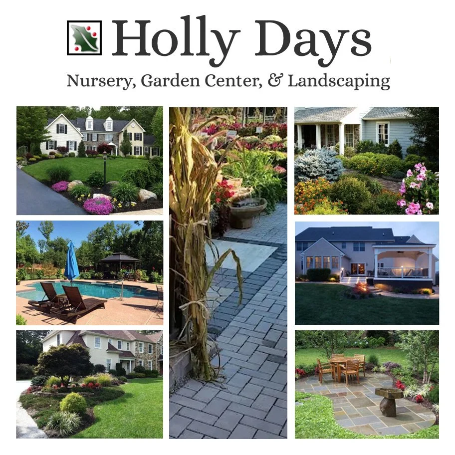 Holly Days Nursery $150 Gift Card