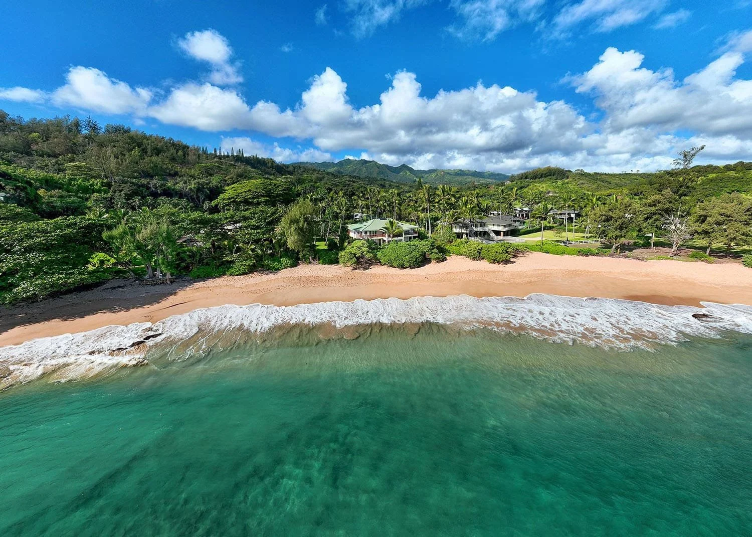 Kauai image-1500w-5x7.jpg