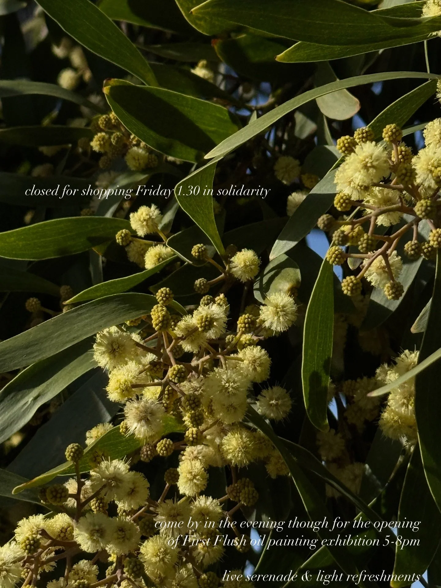 general strike &bull; abolish ice &bull; free Palestine