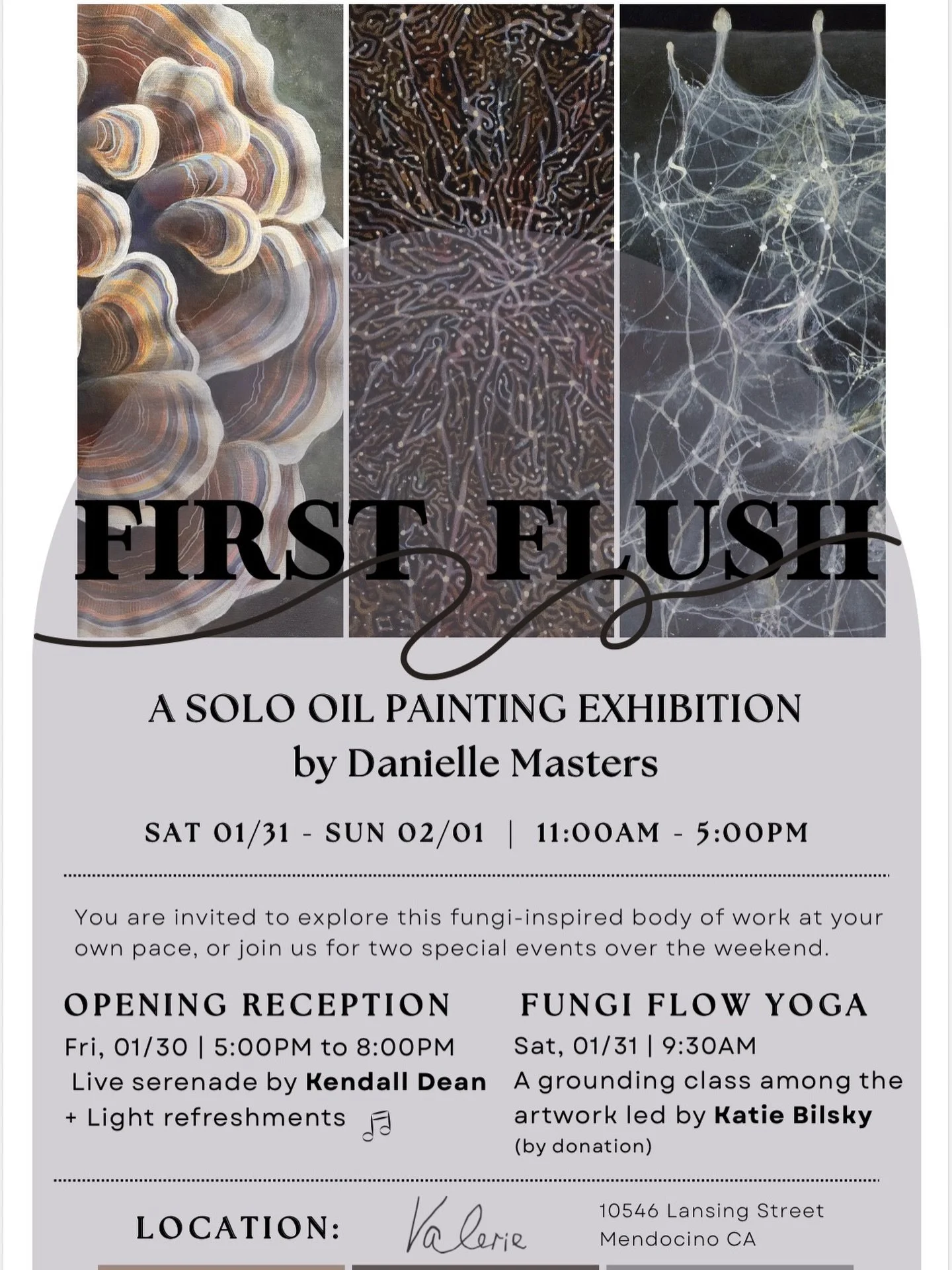 showing the beautiful work of Danielle Masters January 31 and February 1 with an opening reception Friday January 30 at 5pm and fungi inspired yoga flow Saturday morning at 9:30 ✨