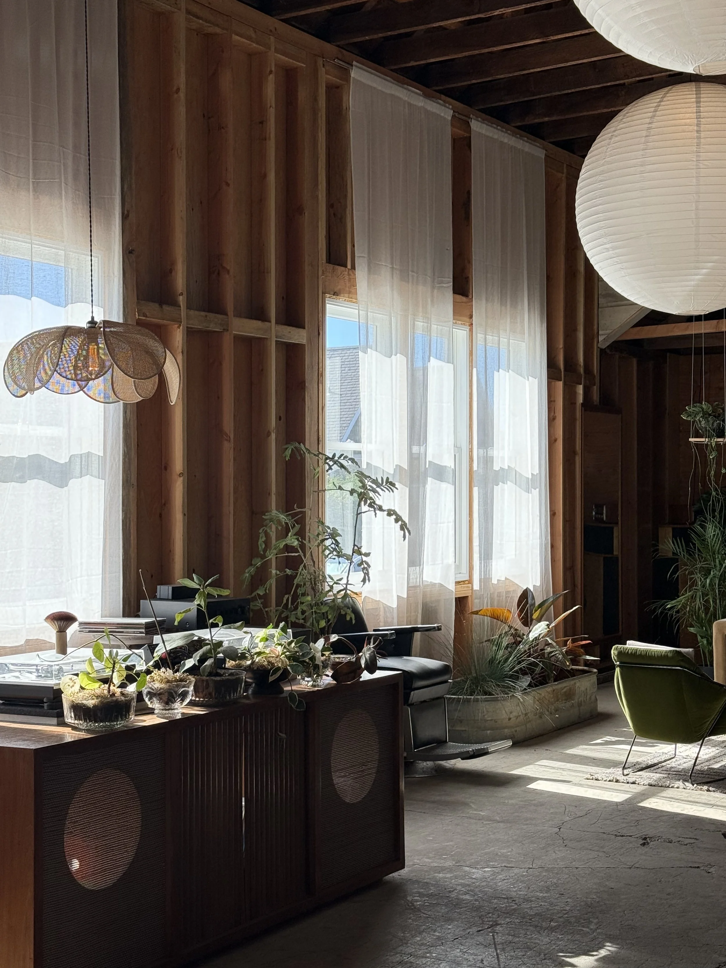 Sunlit living room with large windows covered with sheer curtains, wooden walls and ceiling, potted plants on a sideboard, and a green chair.