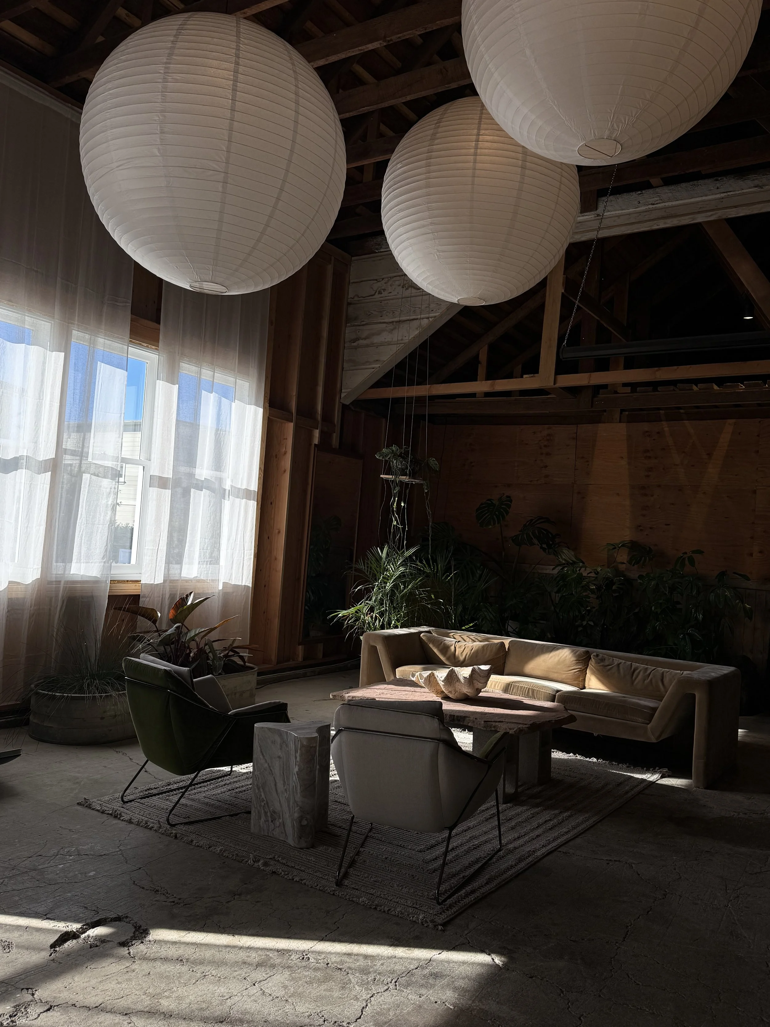 A cozy living room with wooden walls and ceiling, large windows with sheer curtains letting in sunlight, paper lantern ceiling lights, a beige sofa, two modern armchairs, a low coffee table, and potted plants in a rustic space.